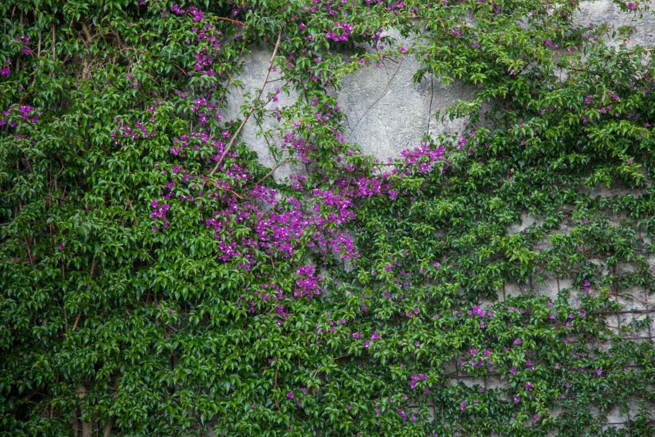 Abelardo'S Home Ribadesella Buitenkant foto